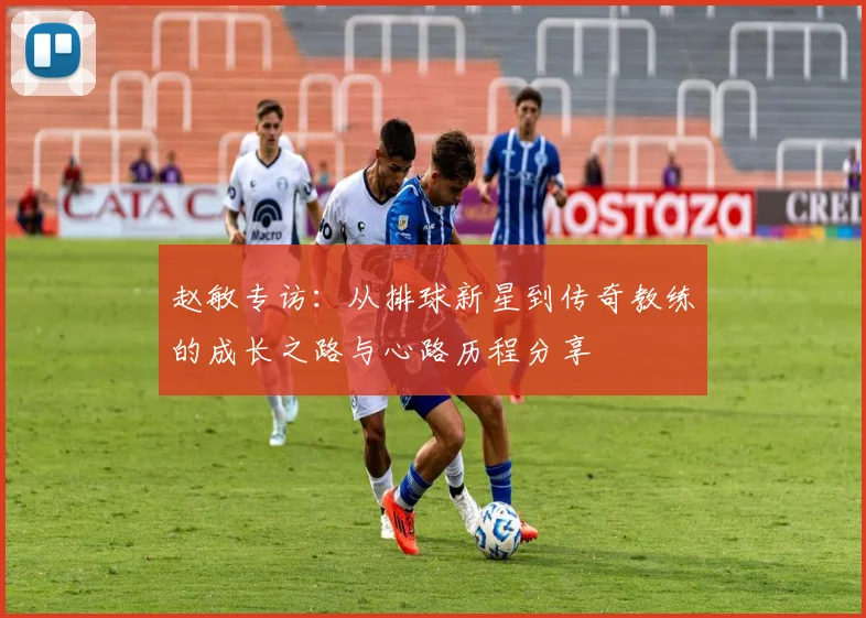 赵敏专访：从排球新星到传奇教练的成长之路与心路历程分享